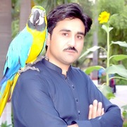 AZIZ KHAN PK 30 Peshawar