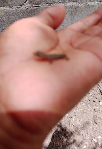 Raymaldo (@raymaldo) — my photo № 1